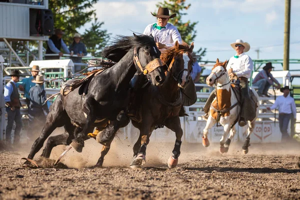 ロデオとブロンコライディングピンチャークリークカナダ 2019年6月 — ストック写真