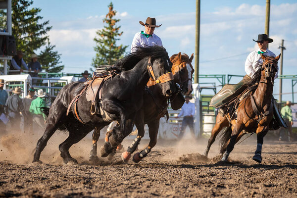 Rodeo and Bronco Riding in Pincher Creek Canada, 16. June 2019