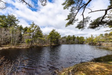 Nova Scotia Kanada'da doğal bir Nehir