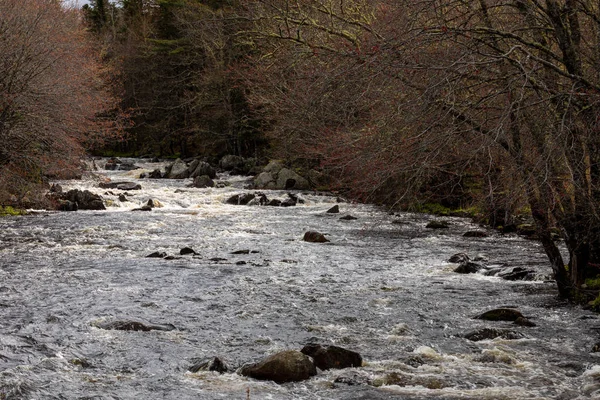Естественная Река Новой Шотландии — стоковое фото