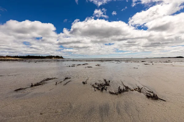 Nova Scotia Kanada Lockeport Sahil Plaj — Stok fotoğraf