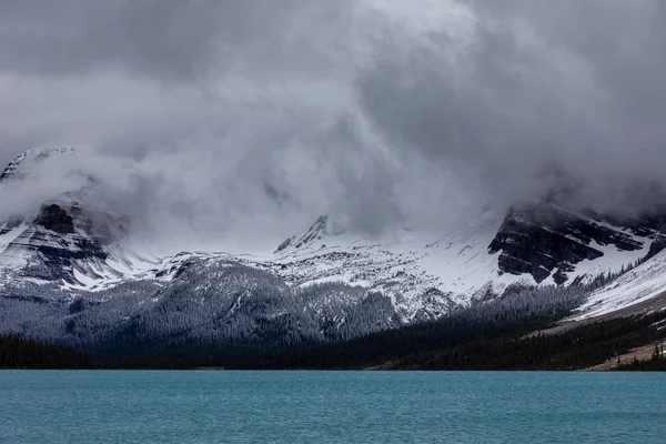 Bow Valley Rocky Mountains Winter — Stock fotografie