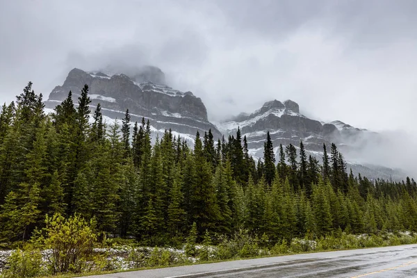 Пейзаж Долини Боу Банф Національному Парку Канади — стокове фото
