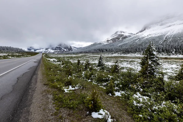 Krajina Bow Valley Národním Parku Banff Kanadě — Stock fotografie