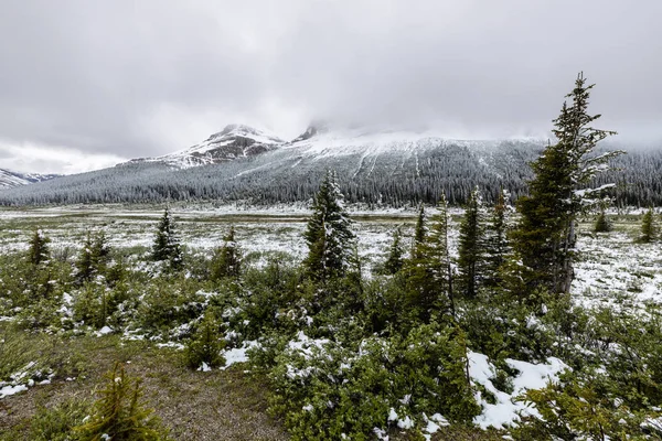 Пейзаж Долины Боу Национальном Парке Банф Канады — стоковое фото