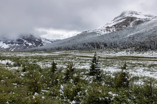 Paisaje Del Valle Del Arco Parque Nacional Banff Canadá — Foto de Stock