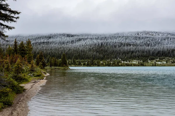 Lake Bow Del Banff National Park Canada — Foto Stock