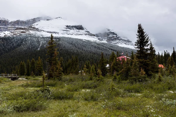 Krajina Bow Valley Národním Parku Banff Kanadě — Stock fotografie