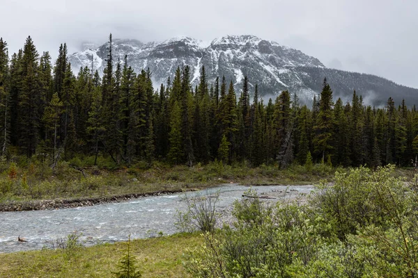 Paisaje Del Valle Del Arco Parque Nacional Banff Canadá — Foto de Stock