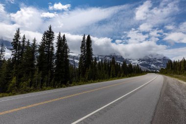 Kanada Banff Ulusal Parkı 'ndaki Bow Valley manzarası