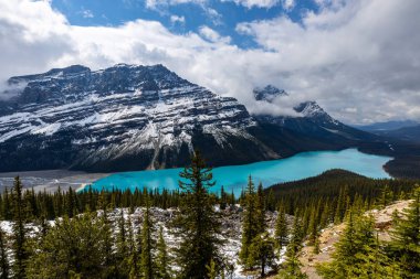 Kanada 'daki Banff Ulusal Parkı' nın Rocky Dağları 'nda Peyto Gölü