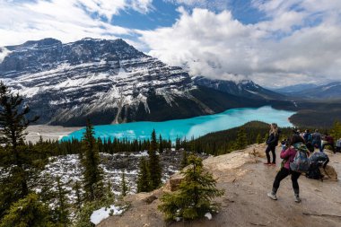 Lake Peyto in the Rocky Mountains  of Banff National Park in Canada clipart