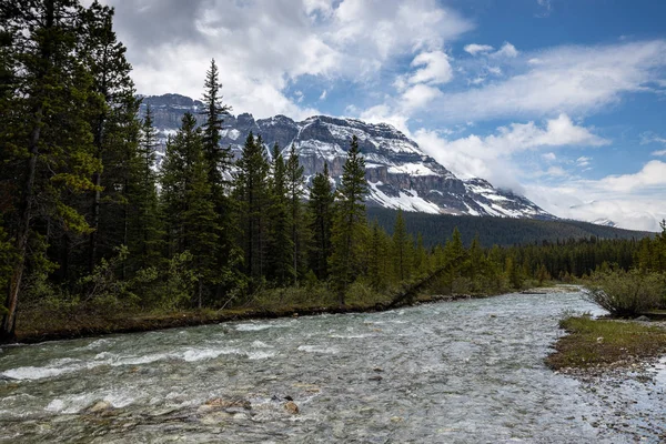 Bow River Bow Valley Rocky Mountains Canada — Stock fotografie