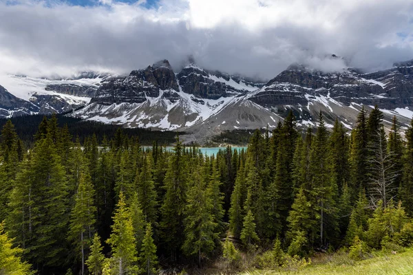 Jezero Bow Kanadských Skalistých Horách Národního Parku Banff — Stock fotografie