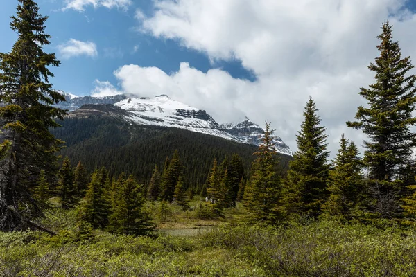 Τοπίο Της Κοιλάδας Του Τόξου Στο Εθνικό Πάρκο Banff Του — Φωτογραφία Αρχείου