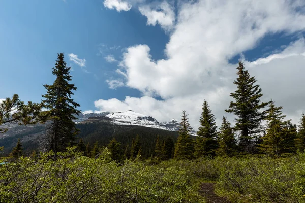 Krajobraz Doliny Łuku Parku Narodowym Banff Kanadzie — Zdjęcie stockowe