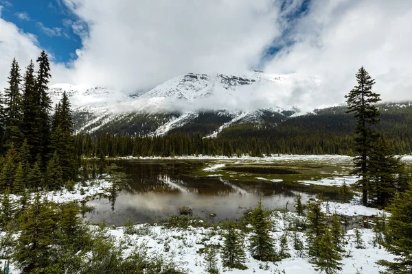 Paisaje Del Valle Del Arco Parque Nacional Banff Canadá — Foto de Stock