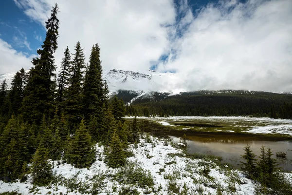 Landschap Van Bow Valley Banff National Park Van Canada — Stockfoto