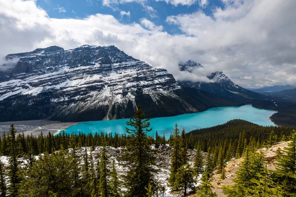 Lago Peyto Nas Montanhas Rochosas Parque Nacional Banff Canadá — Fotografia de Stock