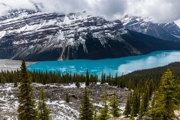 Lake Peyto Klippiga Bergen Banff National Park Kanada — Stockfoto