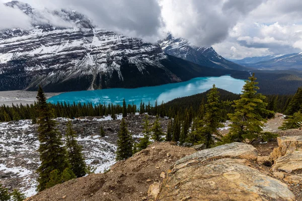 Λίμνη Peyto Στα Βραχώδη Όρη Του Εθνικού Πάρκου Banff Στον — Φωτογραφία Αρχείου