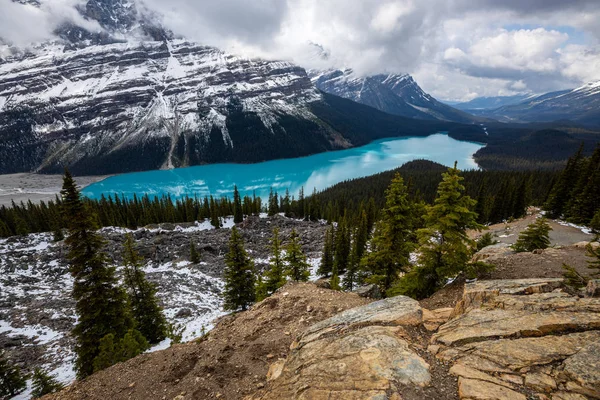 Lake Peyto Klippiga Bergen Banff National Park Kanada — Stockfoto