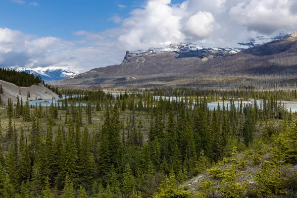 Переход Через Реку Саскачеван Скалистых Горах Канады — стоковое фото