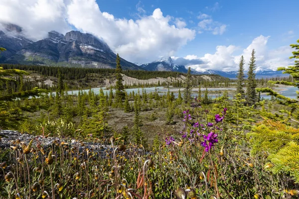 Saskatchewan River Crossing Rocky Mountains Canada — Stock fotografie