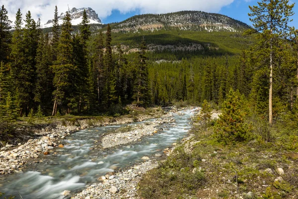 Small Creek Rocky Mountains Canada — Stock Photo, Image