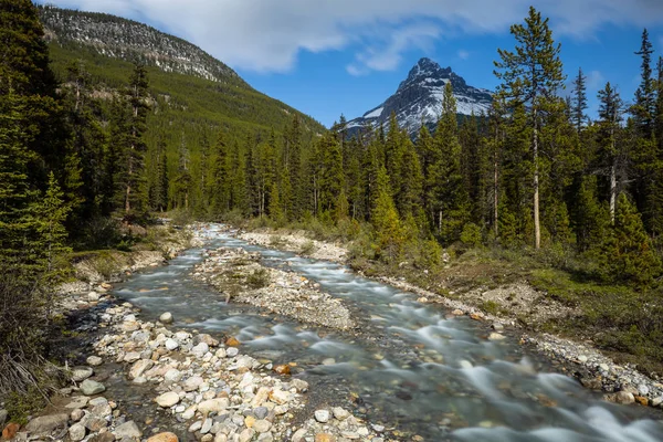 Малый Ручей Скалистых Горах Канады — стоковое фото