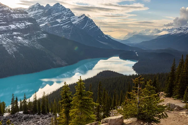 Lago Peyto Las Montañas Rocosas Del Parque Nacional Banff Canadá —  Fotos de Stock
