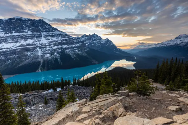 Lago Peyto Las Montañas Rocosas Del Parque Nacional Banff Canadá —  Fotos de Stock