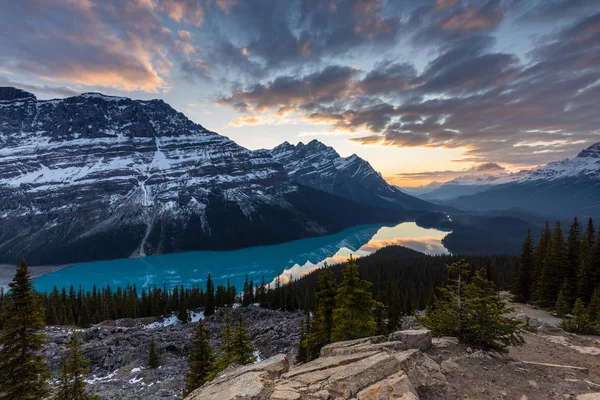 Lake Peyto Klippiga Bergen Banff National Park Kanada — Stockfoto