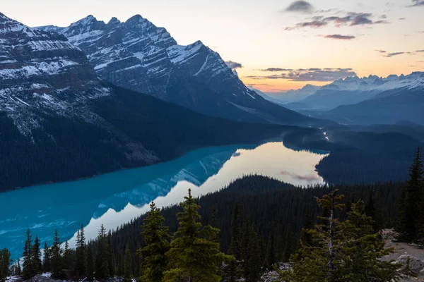 Lago Peyto Las Montañas Rocosas Del Parque Nacional Banff Canadá — Foto de Stock