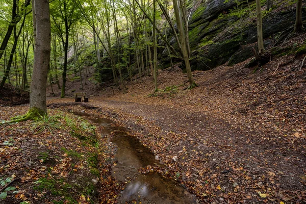 Φαράγγι Του Eisenach Στη Θουριγγία Γερμανία — Φωτογραφία Αρχείου