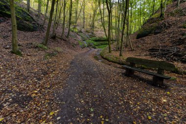 Thüringen Almanya 'da Eisenach Kanyonu
