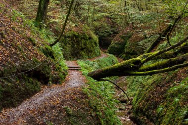 Thüringen Almanya 'da Eisenach Kanyonu