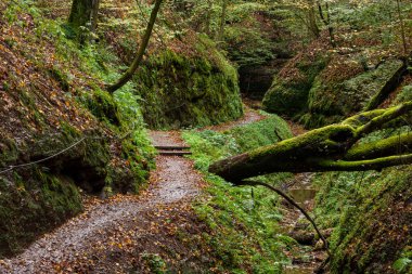 Thüringen Almanya 'da Eisenach Kanyonu