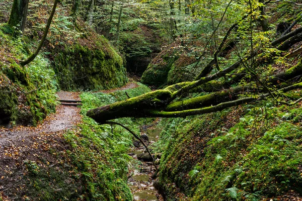 Φαράγγι Του Eisenach Στη Θουριγγία Γερμανία — Φωτογραφία Αρχείου