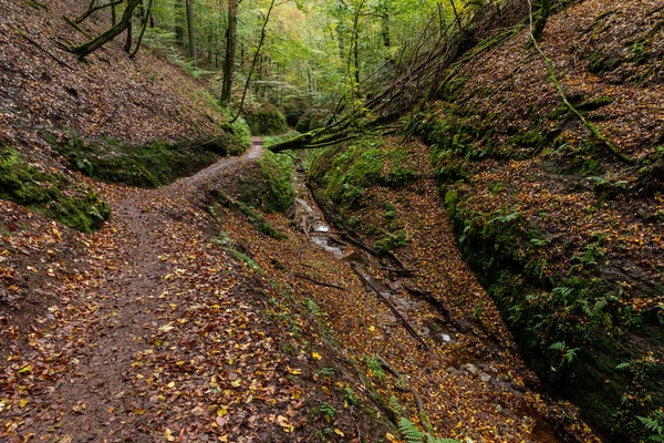 Die Schlucht Von Eisenach Thüringen — Stockfoto