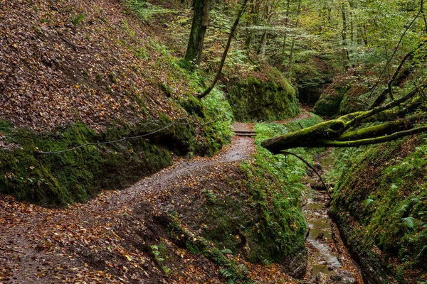 Каньйон Ейзенах Тюрингії Німеччина — стокове фото
