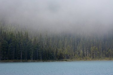 Kanada Banff Ulusal Parkı 'ndaki Bow Valley manzarası