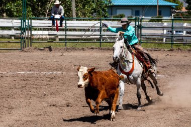 Pincher Creek Kanada 'da kovboylar ve rodeo oyunları, 15. Haziran 2019