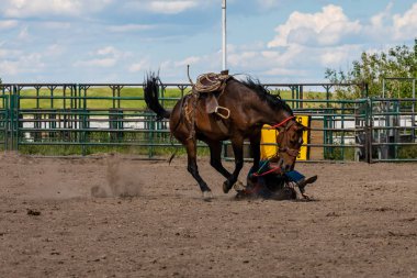 Pincher Creek Kanada 'da kovboylar ve rodeo oyunları, 15. Haziran 2019