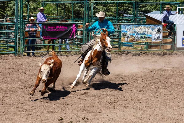 Cowboys Rodeo Games Pincher Creek Canada June 2019 — Stock Photo, Image