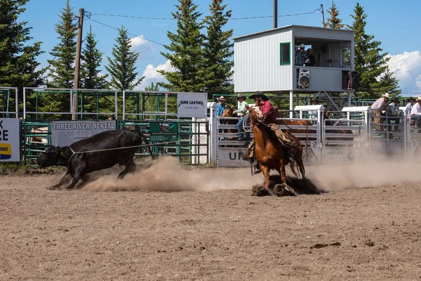 Pincher Creek Kanada Kovboylar Rodeo Oyunları Haziran 2019 — Stok fotoğraf