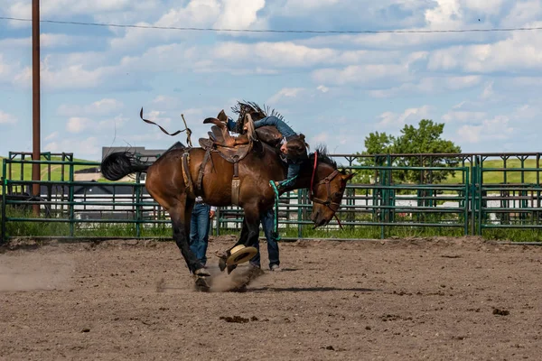 Cowboys Rodeo Games Pincher Creek Canada Anos Junho 2019 — Fotografia de Stock