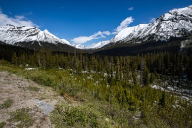 Kanada Jasper Ulusal Parkı 'ndaki Icefield Parkway manzarası