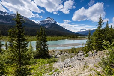 Kanada 'nın Rocky Dağlarındaki Saskatchewan Nehri