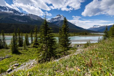 Kanada 'nın Rocky Dağlarındaki Saskatchewan Nehri